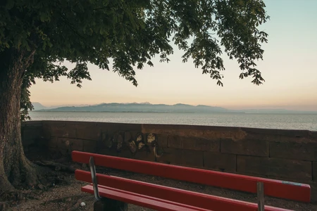 Tranquil Lakeside Bench
