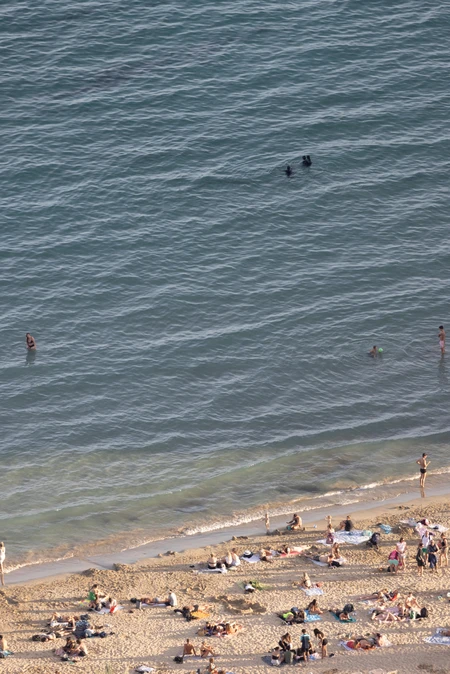 Busy Beach View