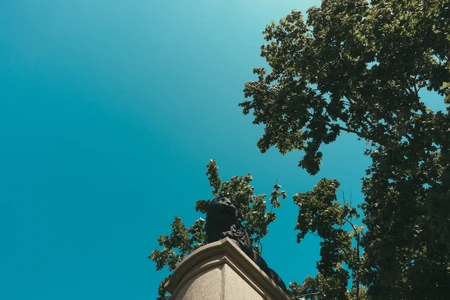 Statue Under the Trees