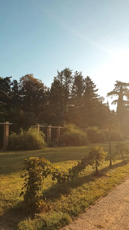 Sunny Garden Pathway