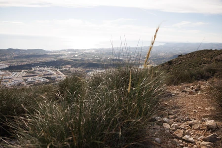 Scenic Mountain View