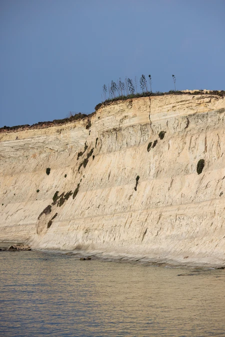 Coastal Cliff Landscape