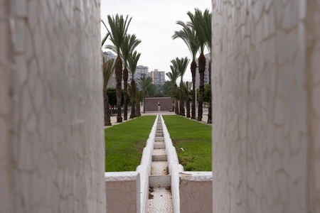 Pathway and Palm Trees in Urban Landscape