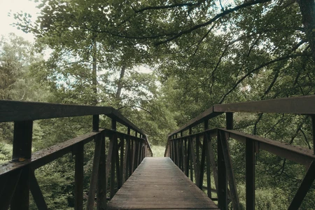 Wooded Bridge Pathway