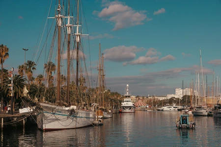 Harbor Serenity