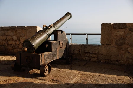 Historic Cannon Overlooking the Sea