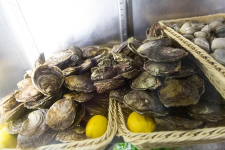 Fresh Oysters Display