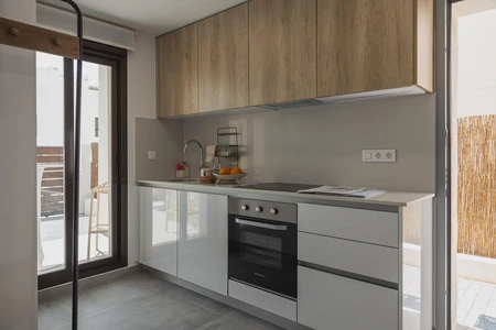 Modern Kitchen Interior