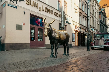Bronze Donkey on Cobblestone Street