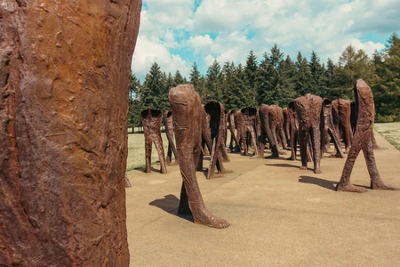 Abstract Sculptures in Park