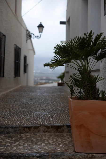 Charming Cobblestone Alley