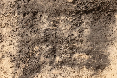 Rugged Stone Texture