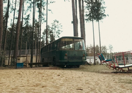 Forest Camper Van