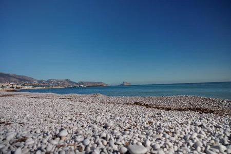 Pebble Beach with Scenic View