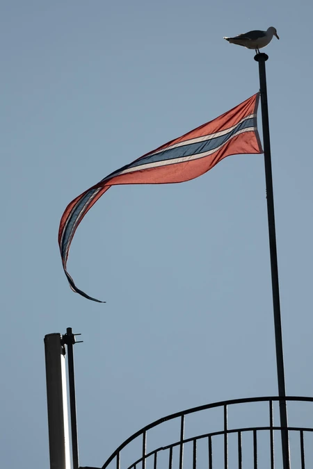 Flag and Seagull