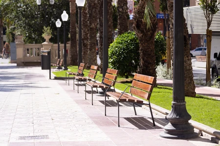 Sunny Park Pathway with Benches