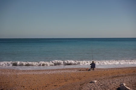 Serene Beach Fishing