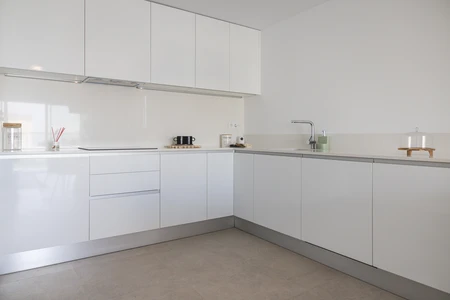Modern White Kitchen
