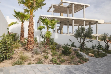 Modern Construction Site in a Tropical Setting