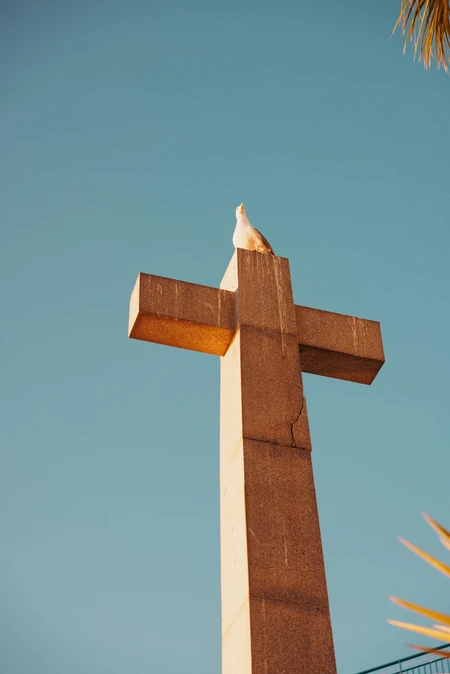 Stone Cross and Dove