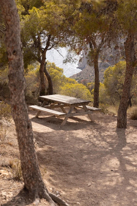 Scenic Picnic Spot