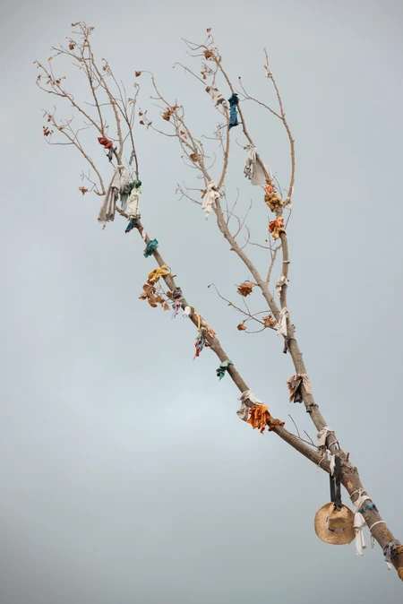 Tree with Adornments Against Grey Sky