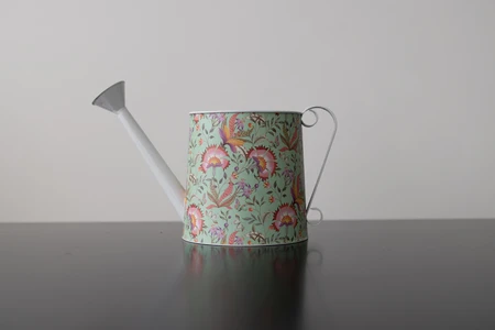 Decorative Watering Can