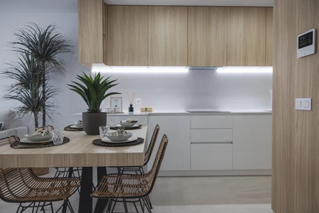 Modern Kitchen Interior