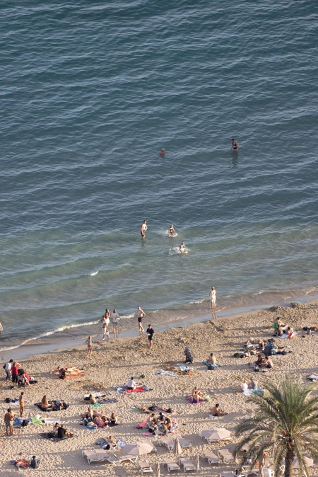 Sunny Beach View