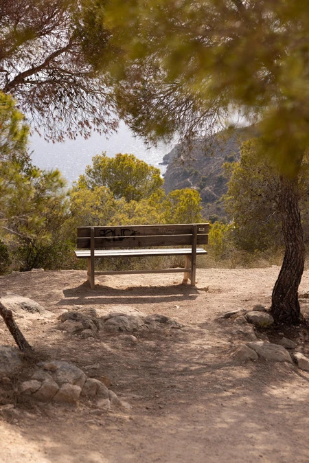 Serene Clifftop Bench