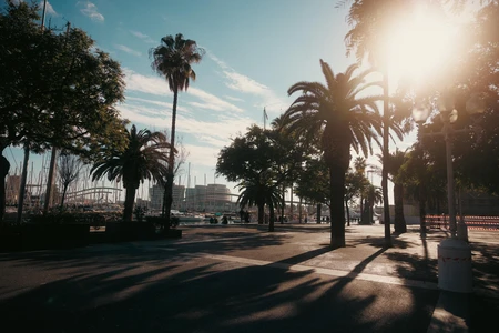 Sunny Urban Oasis