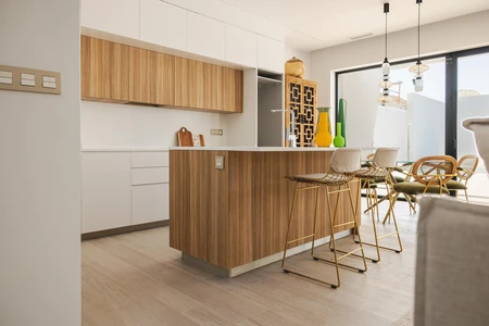 Modern Kitchen Interior