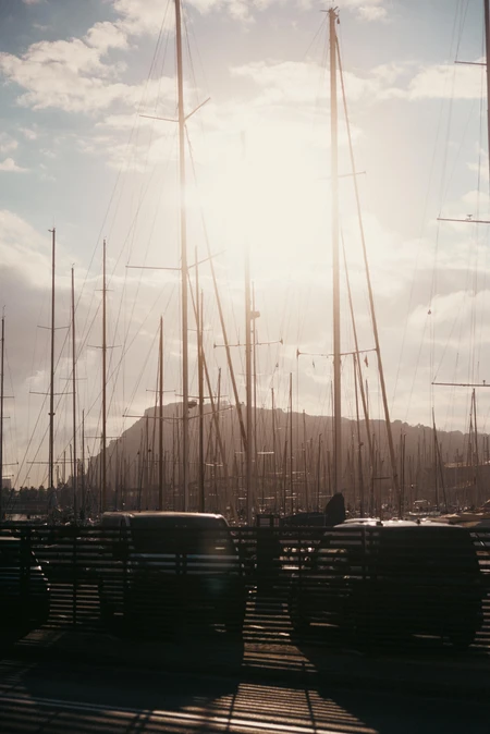 Sunlit Marina with Masts