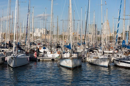 Marina with Sailboats
