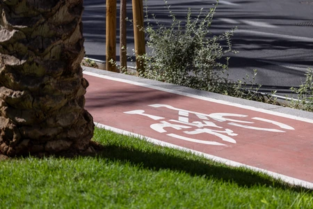 Sunny Bike Path Scene