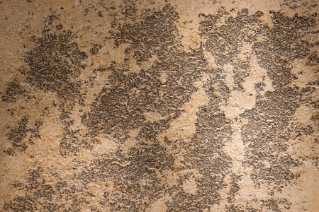 Textured Stone Surface