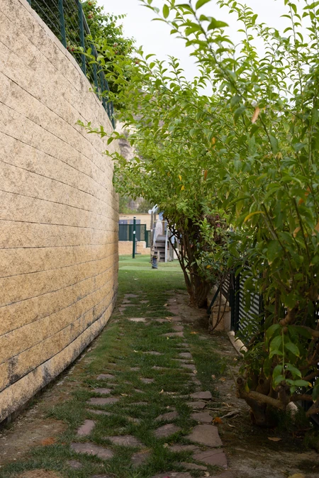 Quiet Garden Pathway