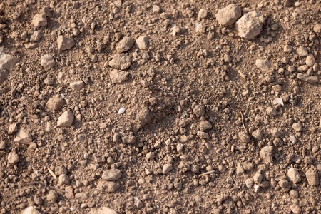 Rugged Terrain