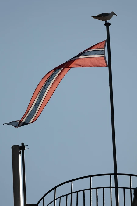 Seagull on a Flagpole