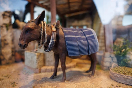 Rural Donkey in a Rustic Setting