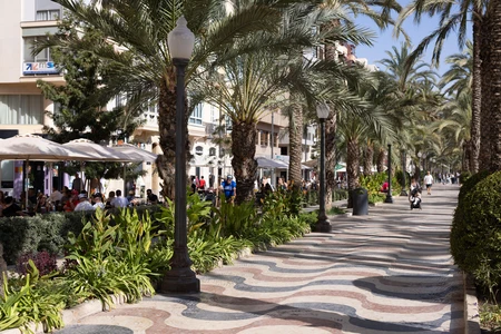 Sunny Promenade