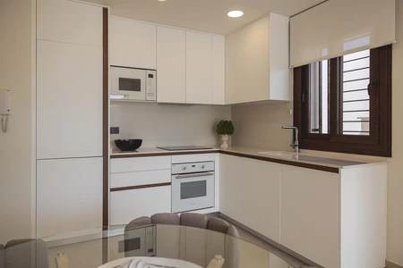 Modern Kitchen Interior