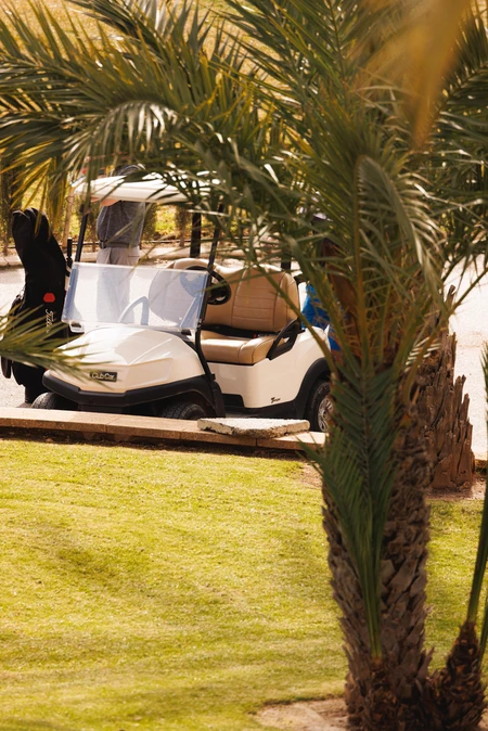 Golf Cart by Palm Trees