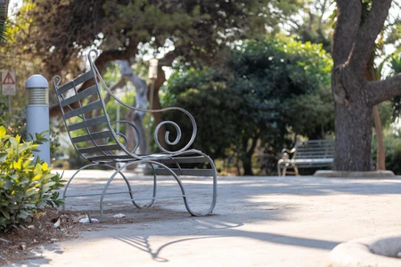 Tranquil Park Bench