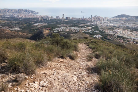 Overlooking a Coastal City