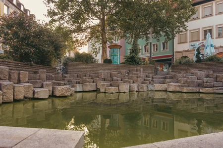 Tranquil Urban Pond