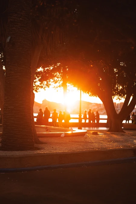 Sunset Walk by the Bay