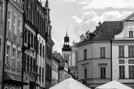 Historic Cityscape in Black and White