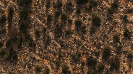 Rugged Terrain Texture