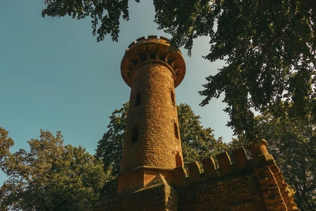 Historic Tower in Forest